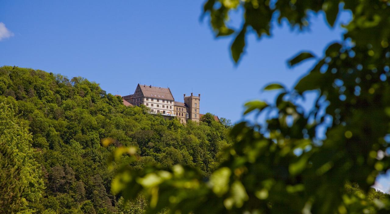 Schloss Weitenburg Starzach Экстерьер фото